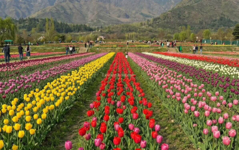 Kashmir Eid Tour Package